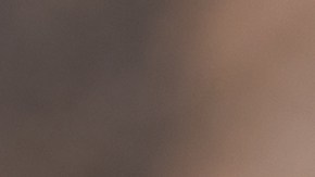 ensalada de salmón ahumado y rucula