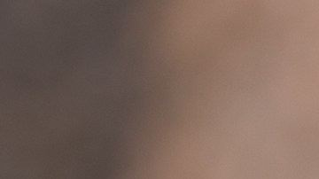 ensalada de salmón ahumado y rucula