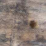 Alambre de res con pimientos