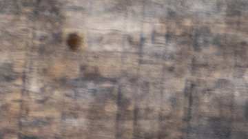 Alambre de res con pimientos