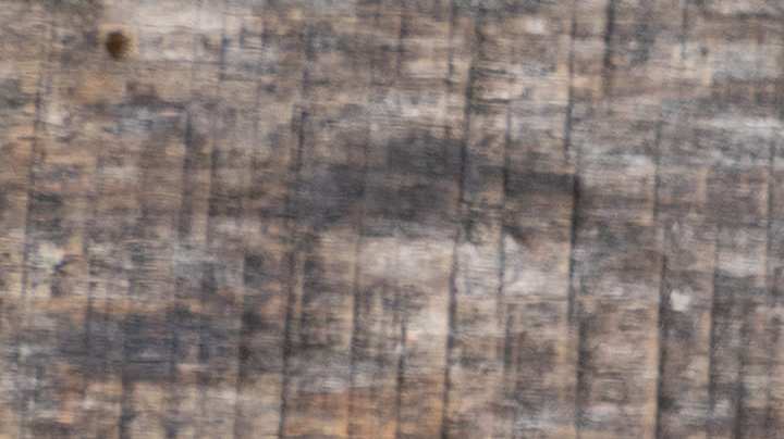 Alambre de res con pimientos