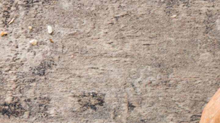 Ensalada de manzana verde, apio y nueces