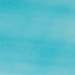 Plato con flautas de marín, verduras y salsas