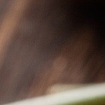 Pappardelle con speck y nueces