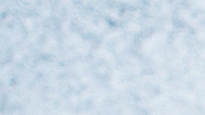 Milanesa de pollo empanizada con aguacate y limón