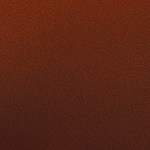 Osobuco con funghi porcini