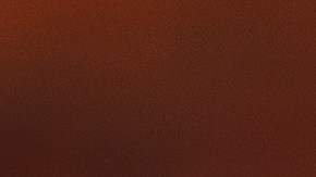 Osobuco con funghi porcini