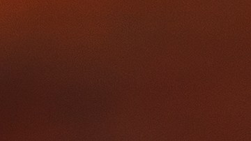 Osobuco con funghi porcini