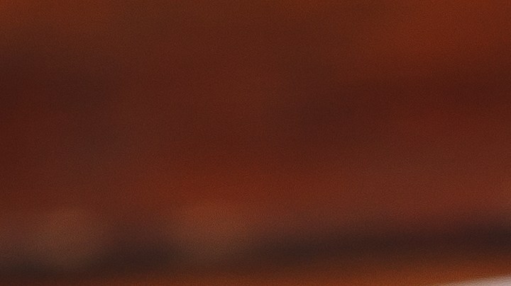 Osobuco con funghi porcini