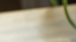 snack de champiñones