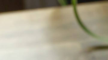 snack de champiñones