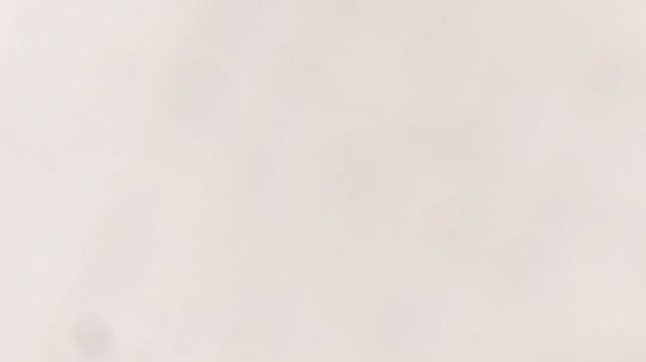 pappardelle con tinta de calamar