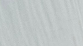 Pechugas de pollo a la plancha a la cerveza