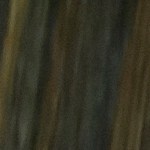 Pechugas de pollo a la plancha con couscous marroqui