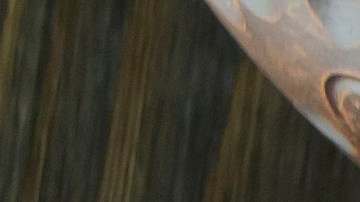 Pechugas de pollo a la plancha con couscous marroqui