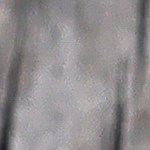 Plato con Pechugas de pollo a la plancha con setas salteadas