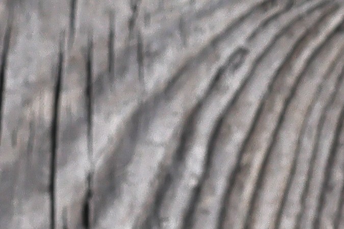 Plato con pechugas de pollo a la plancha con setas salteadas