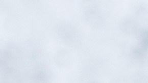 Zanahorias glaseadas con miel y tomillo