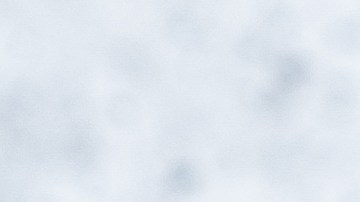 Zanahorias glaseadas con miel y tomillo