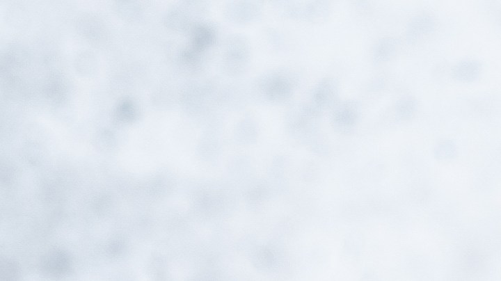 Zanahorias glaseadas con miel y tomillo