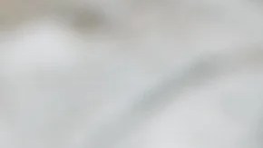 Bandeja de pechugas de pollo en salsa con verduras