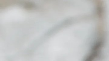 Bandeja de pechugas de pollo en salsa con verduras