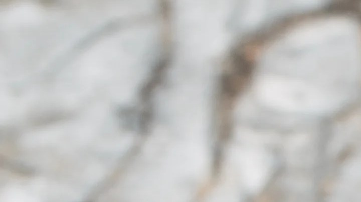 Bandeja de pechugas de pollo en salsa con verduras