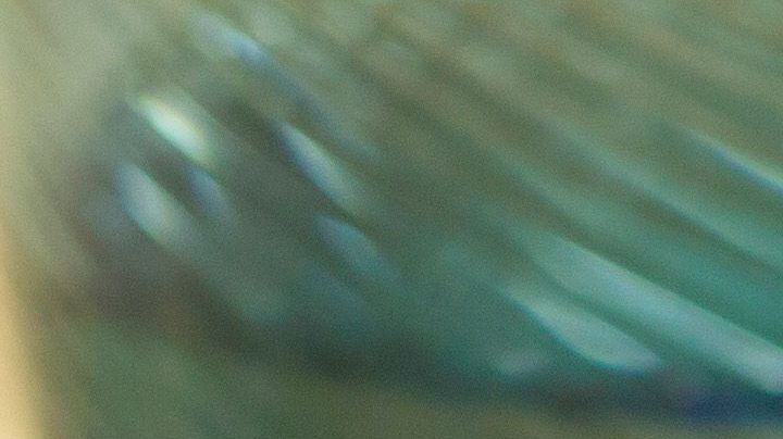 sándwich de huevo con jamón y queso