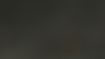 tortilla de champiñones con queso