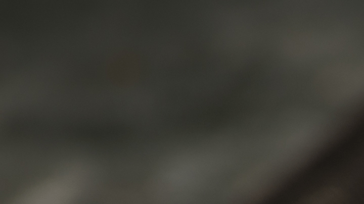 tortilla de champiñones con queso