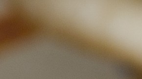 Pechugas de pollo a la plancha con ensalada de garbanzos