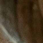 Pappardelle con estofado de ternera