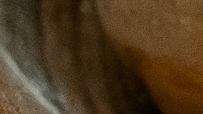 Pappardelle con estofado de ternera