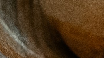 Pappardelle con estofado de ternera