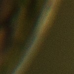 Rigatoni a la Puttanesca