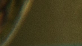 Rigatoni a la Puttanesca