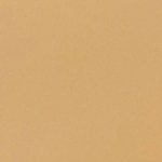 Alambre de pollo con queso Oaxaca