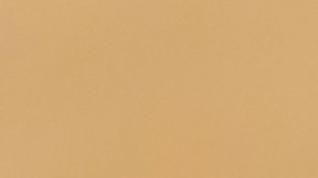 Alambre de pollo con queso Oaxaca