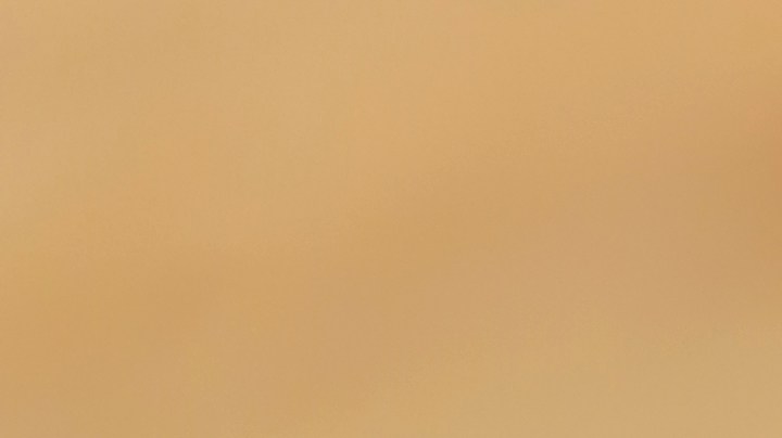 Alambre de pollo con queso Oaxaca