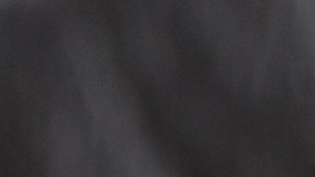 Milanesa de pollo empanizada con salsa de poblano