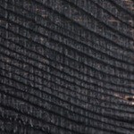 osobuco a la provenzal