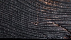 osobuco a la provenzal