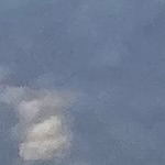 florida grouper sandwich