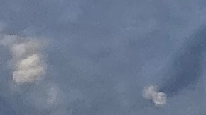 florida grouper sandwich