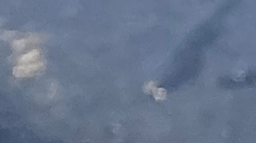 florida grouper sandwich