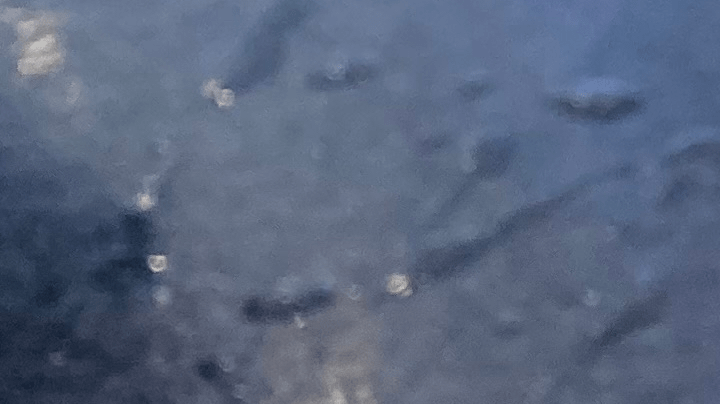 florida grouper sandwich