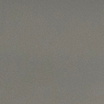 Nashville hot chicken sandwich