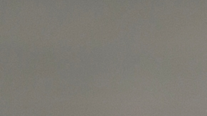 Nashville hot chicken sandwich