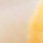 filete de pescado en salsa cremosa