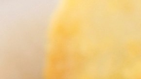 filete de pescado en salsa cremosa